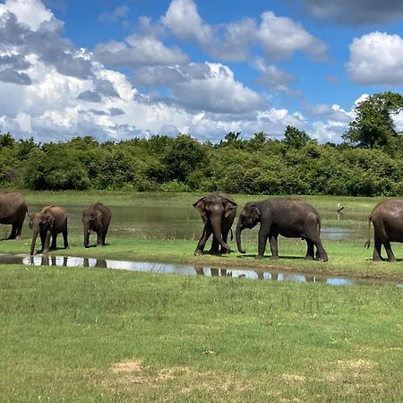 Golden Pearl Safari Villa Udawalawe Luaran gambar